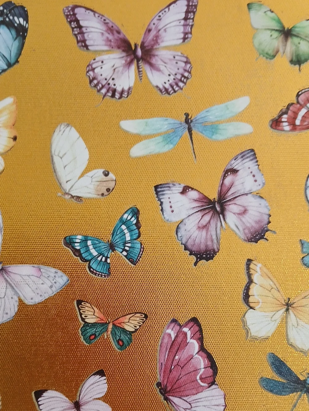 Gold Butterfly Wall Art Canvas - Vibrant Multi-Color Accent